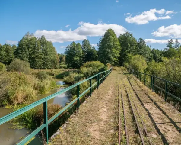Most starych torów kolejowych nad rzeką w Białowieskim Parku Narodowym. Ciekawostki przyrodnicze i historyczne tego miejsca zachwycają.