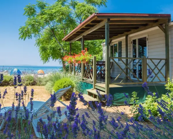 Idealne miejsce, gdzie na wakacje z dziećmi: domek letniskowy blisko plaży, z leżakami i kwitnącą lawendą.