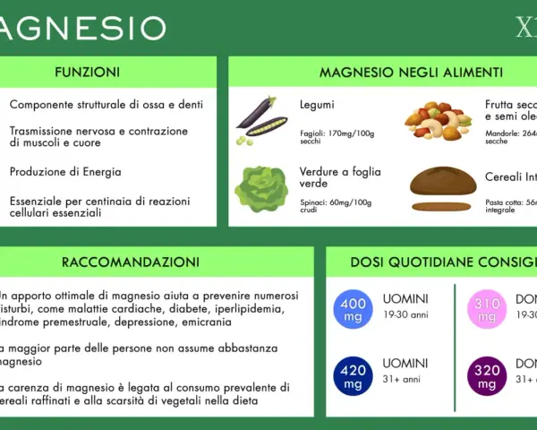 Alimenti ricchi di magnesio e potassio: legumi, verdure a foglia verde, frutta secca, semi oleosi e cereali integrali. Scopri le dosi consigliate.