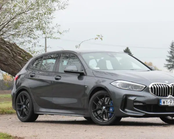 Szare BMW 118i zaparkowane przy przewróconym drzewie.