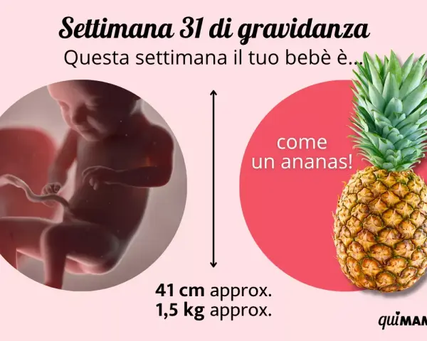 A 31 settimane di gravidanza, il tuo bimbo è grande come un ananas! Pesa circa 1,5 kg.
