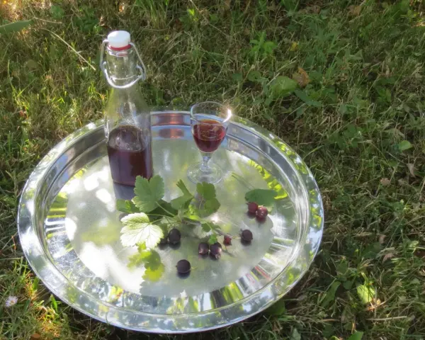 Ein Glas und eine Flasche mit dunklem Saft, garniert mit Jostabeeren und Blättern, auf einem Tablett im Gras. Perfekt für Jostabeere Rezepte.