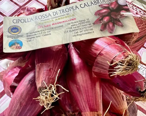 Un fascio di cipolle rosse di Tropea, con la loro etichetta che ne certifica l'origine calabrese.