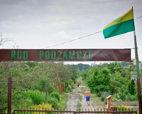 Kto stoi za kampanią "wolne działki ROD"? Czy protesty zablokują nowe przepisy? Wjazd do ROD Podzamcze, gdzie widać mężczyznę idącego ścieżką.