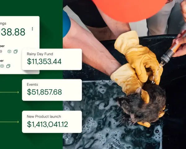 A nonprofit's reserves: $113k business savings, $11k rainy day fund, $51k events, and $1.4M for a new product launch.