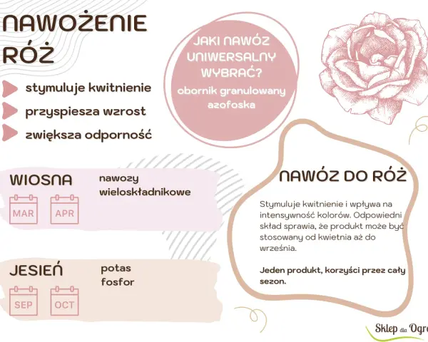 Domowy nawóz do róż stymuluje kwitnienie, przyspiesza wzrost i zwiększa odporność. Stosuj wiosną i jesienią.