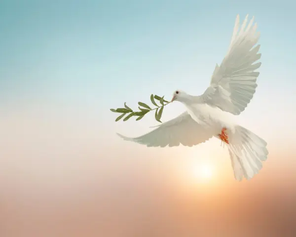 Weiße Taube mit Olivenzweig im Schnabel fliegt vor einem sanften Sonnenuntergang. Sie symbolisiert Frieden, was man an Pfingsten feiert.