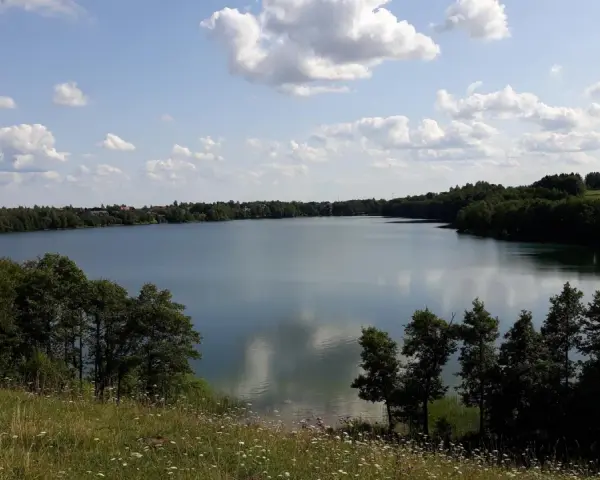 Spokojne jezioro Hańcza otoczone zielonymi lasami, z białymi chmurami na błękitnym niebie.