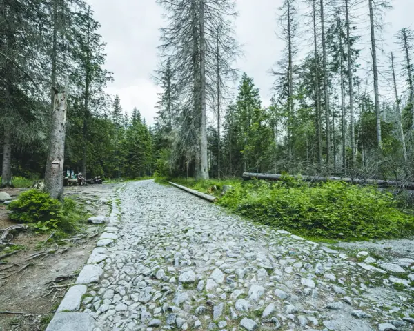 Kamienista ścieżka przez las, z tabliczką informującą, że szlak z brzezin do murowańca zamknięty. W oddali widać grupę osób odpoczywających przy ławce.