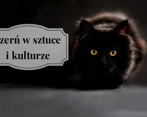 Czarny kot o żółtych oczach, na tle napis "czern w sztuce i kulturze". Czy czarny jest kolorem?