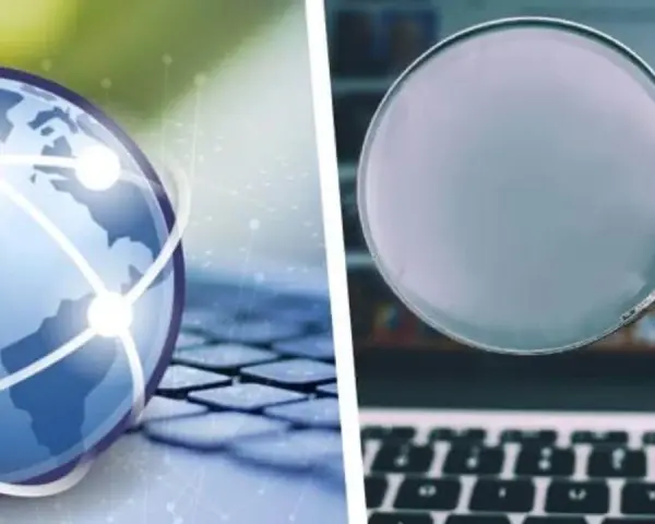 Przeglądarka vs wyszukiwarka: Poznaj sekret działania internetu