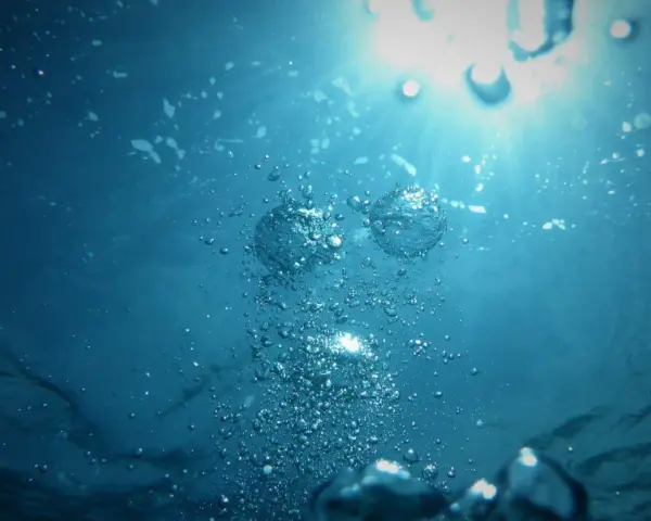 Burbujas ascienden en el agua azul, reflejando la luz del sol. La claridad del agua sugiere un entorno saludable.
