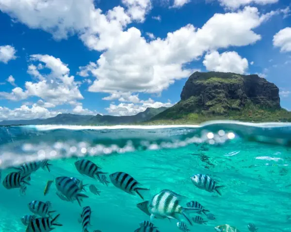 Podwodny świat Mauritiusa zachwyca. Uważaj na prądy, ale podziwiaj ryby i górę Le Morne Brabant.