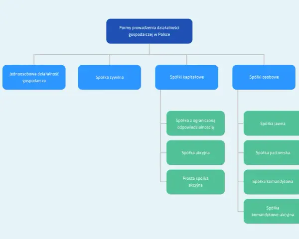 Schemat przedstawia formy prowadzenia działalności gospodarczej w Polsce: jednoosobową, spółkę cywilną, spółki kapitałowe (z o.o., akcyjną, prostą spółkę akcyjną) i osobowe (jawną, partnerską, komandytową, komandytowo-akcyjną).