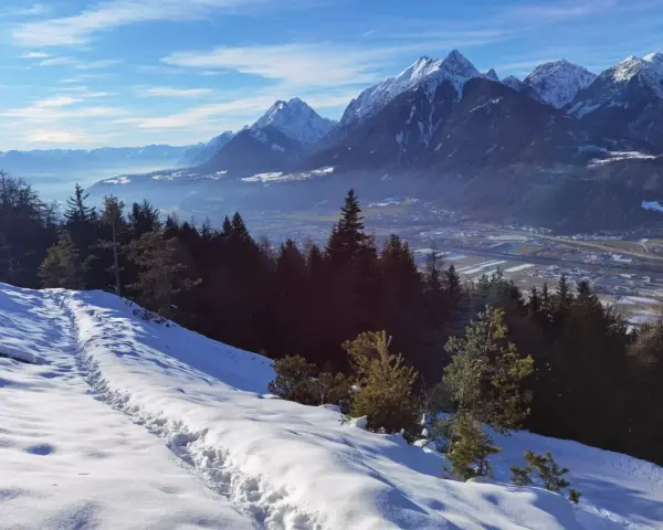 Schneebedeckte Berge über Innsbruck im Winter. Eine Spur führt durch den Schnee bergab, vorbei an dunklen Tannen.