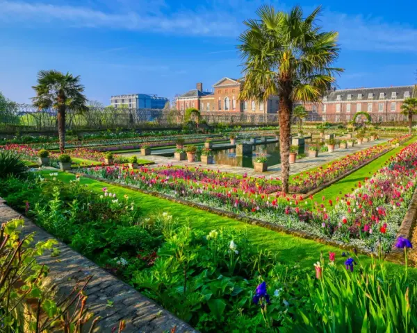 Kwiatowe rabaty i palmy w ogrodach Kensington Palace, Londyn.