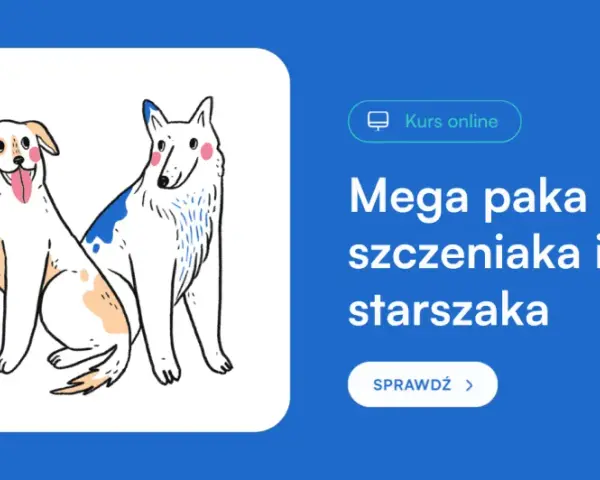 Szczeniak na dworze? Sprawdź, kiedy jest gotowy i jak go przygotować!