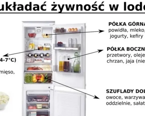 Otwarta lodówka z zaznaczonymi półkami i produktami spożywczymi, obok ryba i miska z twarożkiem.