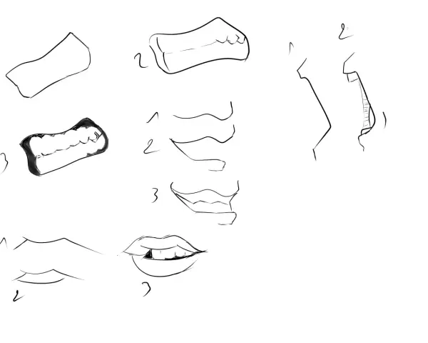 Étude de bouche et de dents, un dessin dent facile pour apprendre à dessiner.