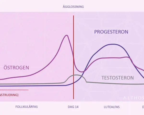 Graf över hormonnivåer under menstruationscykeln. Lågt progesteron kan ge symptom vid klimakteriet.