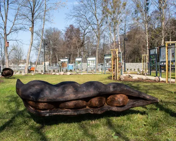 Najlepsze atrakcje w Brwinowie, które zachwycą całą rodzinę