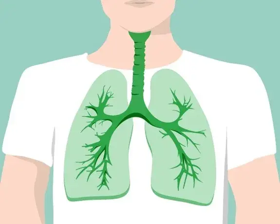 Symptome Bronchitis: So erkennen Sie die Anzeichen rechtzeitig