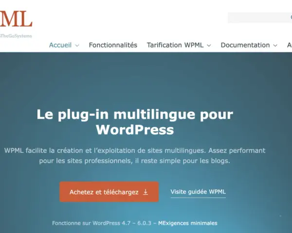 Le plug-in multilingue WPML pour WordPress, une alternative à Google Translate, facilite la création de sites multilingues.