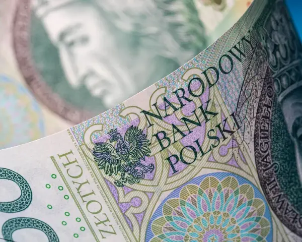 Zbliżenie na polskie banknoty. Kto płaci podatek od pożyczki? Narodowy Bank Polski i jego znaki wodne.
