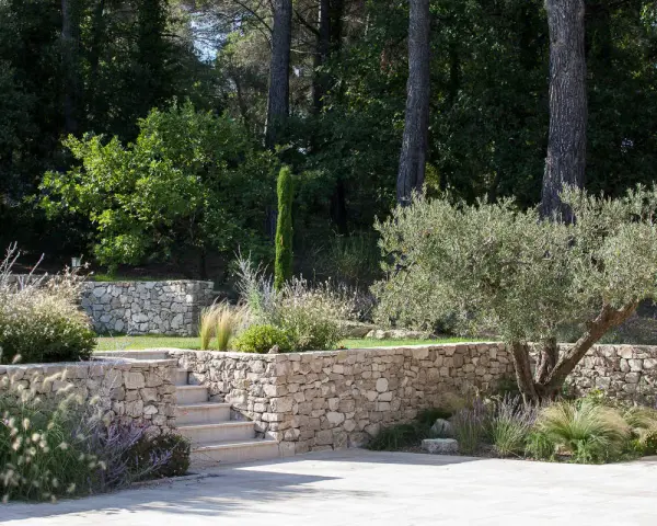 Aménagement d'un jardin en pente : terrassement paysager avec murs en pierre sèche, escalier et olivier.