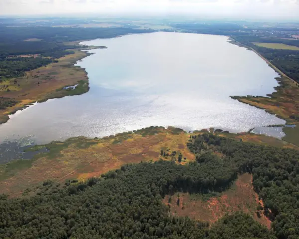 Rozległe jezioro Świerklaniec otoczone lasami i trzcinami, z widokiem na pola i zabudowania w oddali.