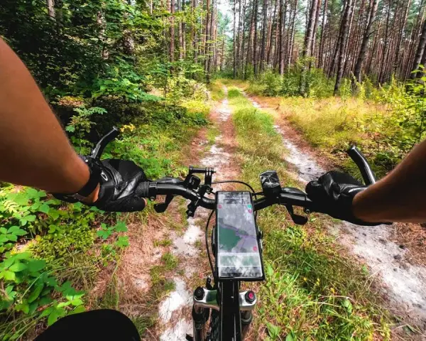 Józefów Roztocze: Atrakcje, Trasy Rowerowe i Niezapomniany Wypoczynek