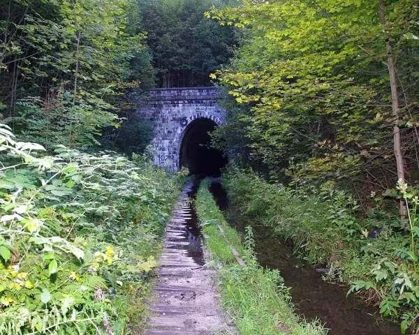 Kamienna, kameralna brama do mrocznego tunelu kolejowego w Kowarach, otoczona bujną zielenią.