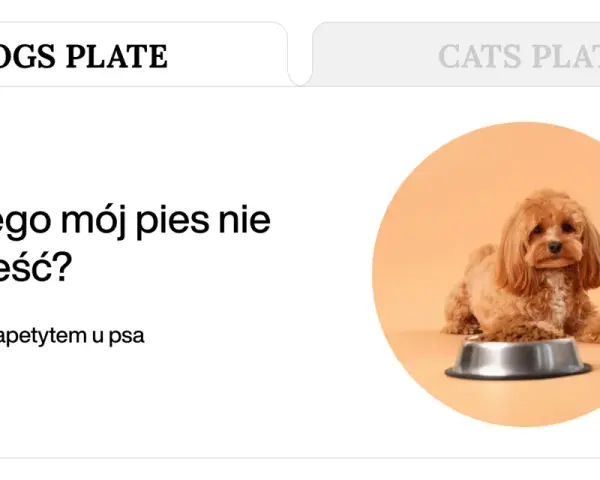 Uroczy piesek leży obok miski z jedzeniem, ale wygląda na to, że mój pies nie chce jeść.