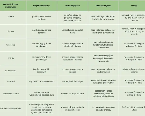 Kiedy pryskać miedzianem drzewa owocowe? Tabela podpowiada terminy oprysków jabłoni, grusz, czereśni, wiśni, brzoskwiń, winorośli, porzeczek i borówek.