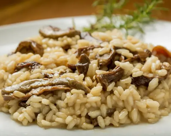 Kremowe risotto z grzybami na białym talerzu, ozdobione gałązką rozmarynu.