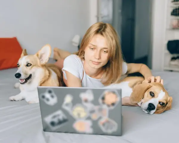 Ragazza con due cani sul letto, uno corgi e un beagle, che guarda un laptop. Un esempio di come lavorare con gli animali in modo sereno.