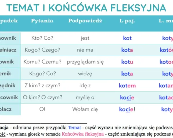 Tabela pokazuje odmianę rzeczownika "kot" przez przypadki, odpowiadając na pytania.