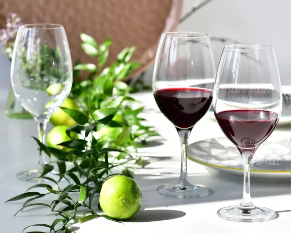 Dwa kieliszki z czerwonym winem, zielone limonki i gałązki tworzą elegancką kompozycję. Idealna sceneria, by dowiedzieć się, jak pić porto.