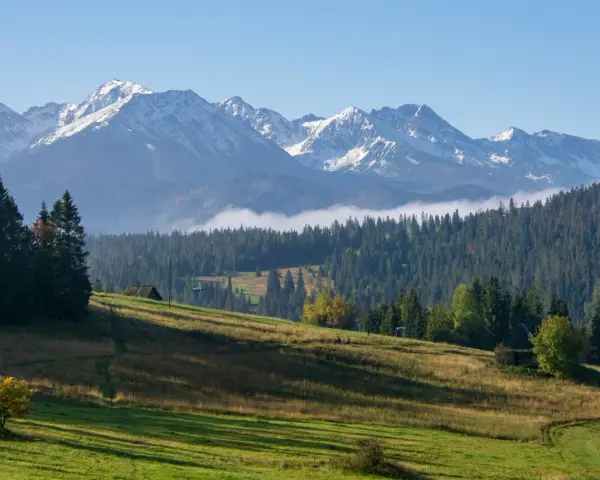 Gubałówka wysokość. Majestatyczne Tatry z ośnieżonymi szczytami górują nad zielonymi zboczami i gęstym lasem.