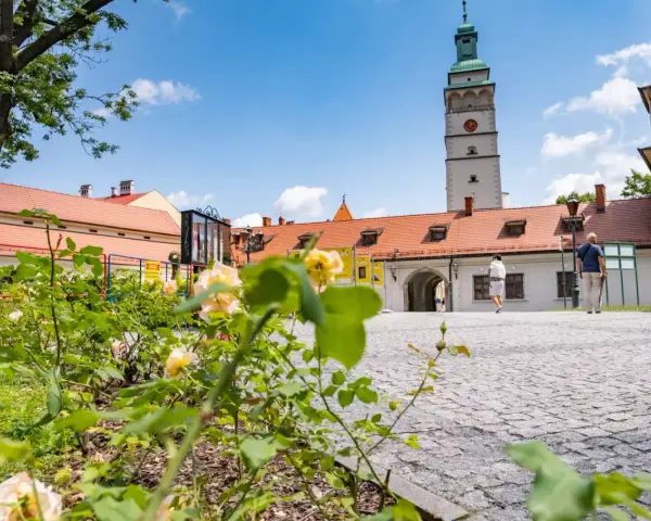Kwiaty na pierwszym planie, w tle wieża ratuszowa i zabudowania na żywiec rynek.