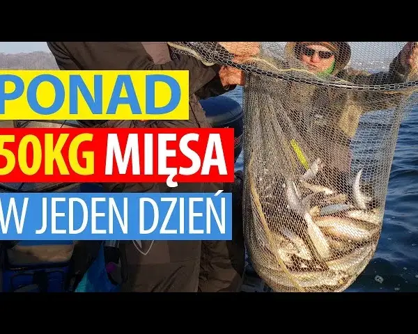 Kiedy łowić śledzie w Bałtyku? Odkryj najlepsze sezony i miejsca