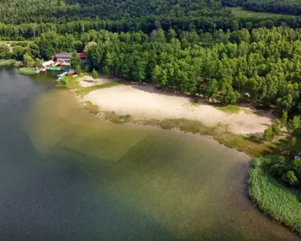 Piękny, piaszczysty brzeg nad zbiornikiem Pogoria, otoczony zielonym lasem. W oddali widać budynek z pomostem i łódkami.