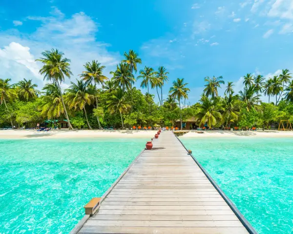 Drewniany pomost prowadzi do rajskiej plaży z palmami. Idealne miejsce na malediwy loty i relaks.
