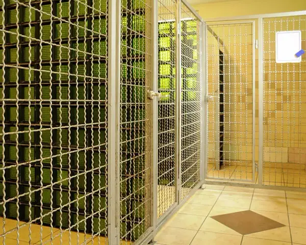 Jak założyć hotel dla psów - uniknij najczęstszych błędów i kosztów