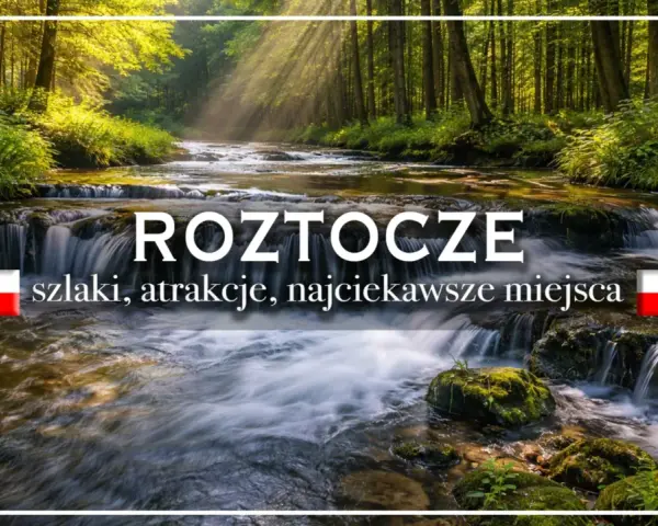 Roztocze: szlaki, atrakcje, najciekawsze miejsca. Malowniczy potok w lesie, idealny na wycieczkę.