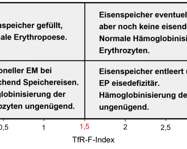Diagramm zeigt vier Stadien der Eisenversorgung. Quadrant 4 beschreibt einen Zustand, bei dem der Eisenspeicher entleert ist und die Hämoglobinisierung der Erythrozyten ungenügend ist, was auf zu niedriges Ferritin hinweist.