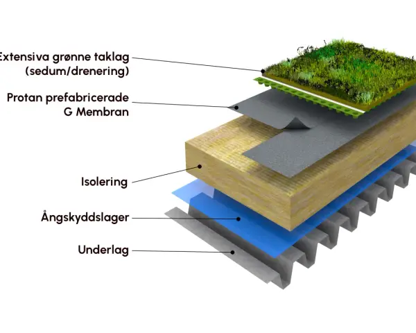 Explosion av en sedumtak konstruktion med lager av vegetation, dränering, membran, isolering, ångspärr och underlag.