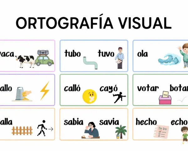 Ortografía visual: vaca, tubo, tuvo, ola, rallo, calló, cayó, votar, botar, valla, sabia, savia, hecho, echo.