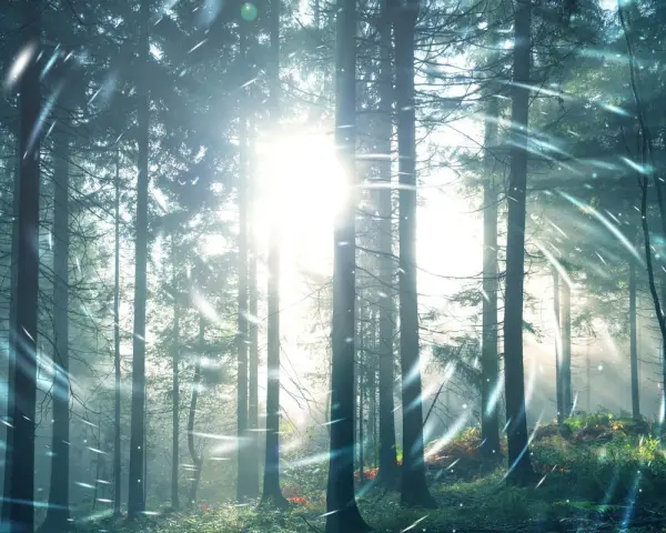Promienie słońca przebijają się przez drzewa w lesie, tworząc magiczną aurę. W powietrzu unoszą się iskierki, jakby to był tekst "Sol Invictus".