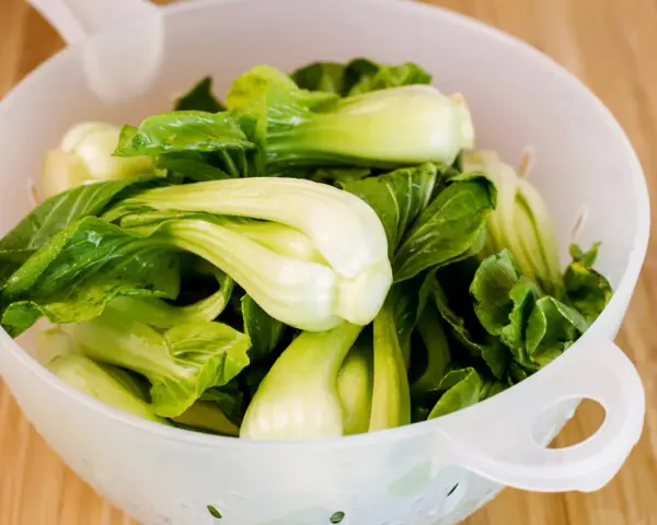 Frischer Pak Choi in einem Sieb, bereit zum rohen Essen. Knackige Blätter und helle Stiele.